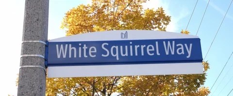street sign from white squirrel way in Toronto